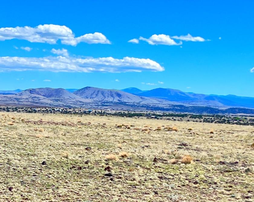 1.11 Acres for Sale in Concho, Arizona