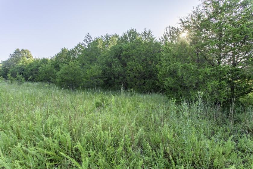 0.30 Acres for Sale in Horseshoe Bend, Arkansas