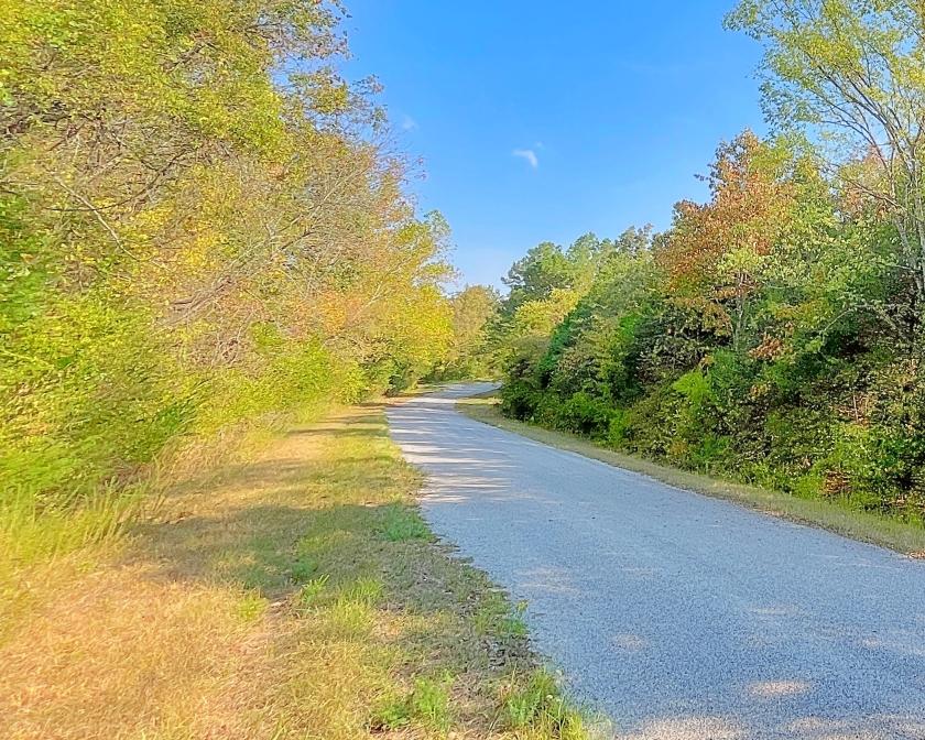 0.28 Acres for Sale in Horseshoe Bend, Arkansas