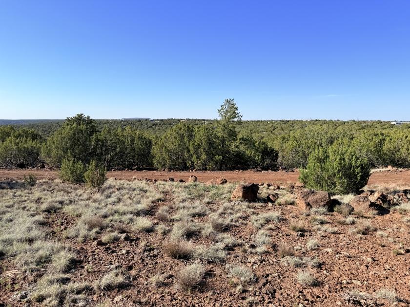 1.16 Acres for Sale in Concho, Arizona