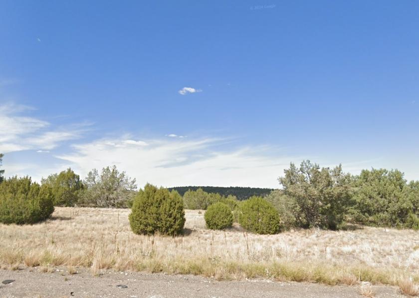 1.08 Acres for Sale in Seligman, Arizona