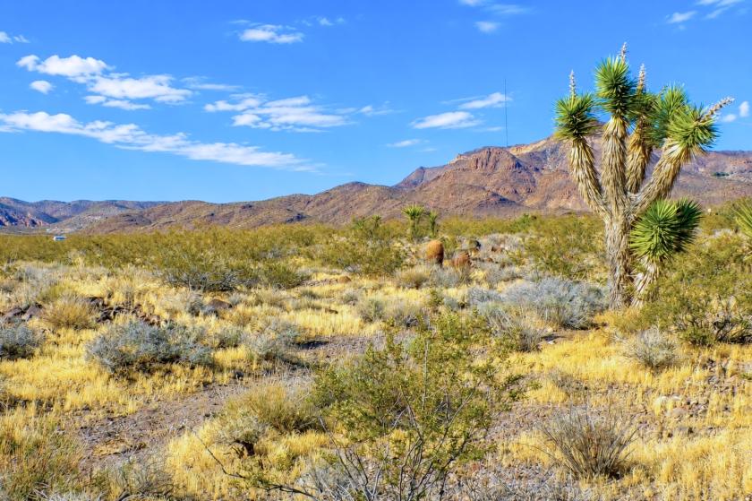 1 Acres for Sale in Dolan Springs, Arizona