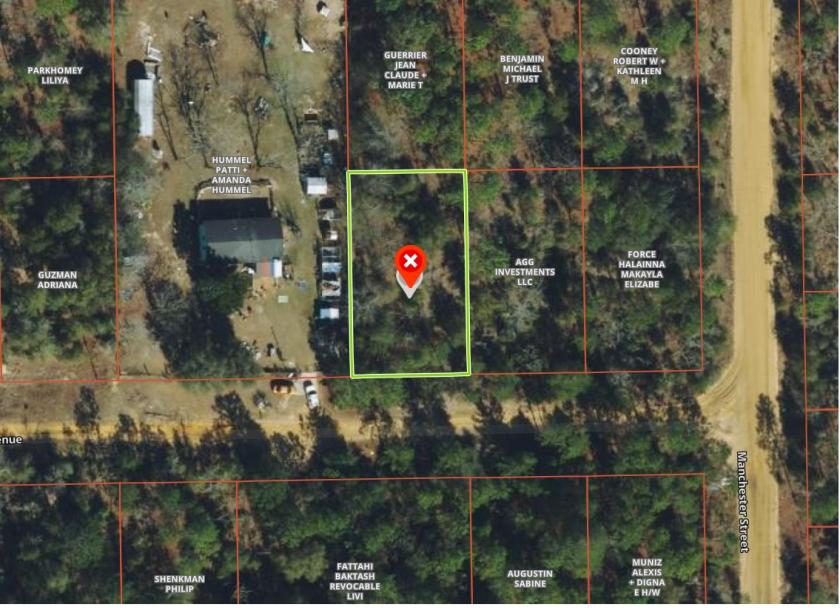 0.22 Acres for Sale in Interlachen, Florida