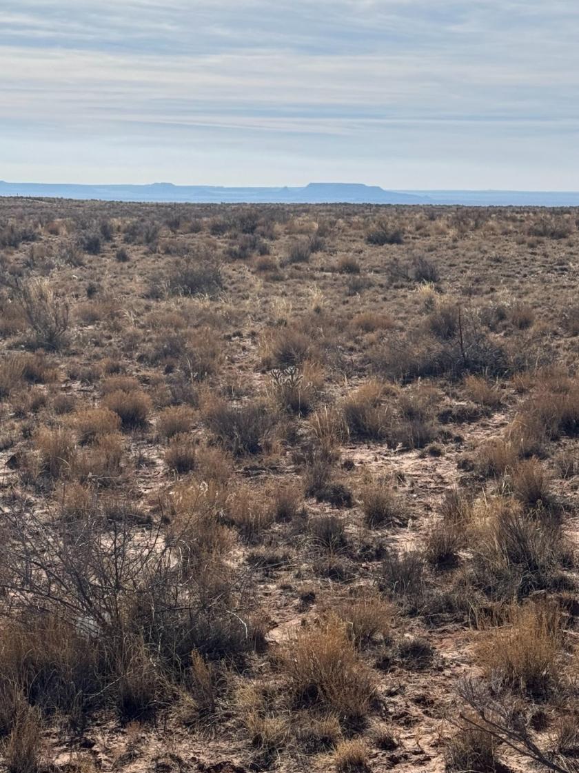 1.04 Acres for Sale in Holbrook, Arizona