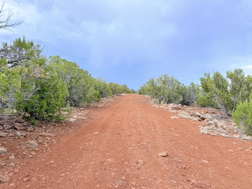 1.35 Acres for Sale in Concho, Arizona