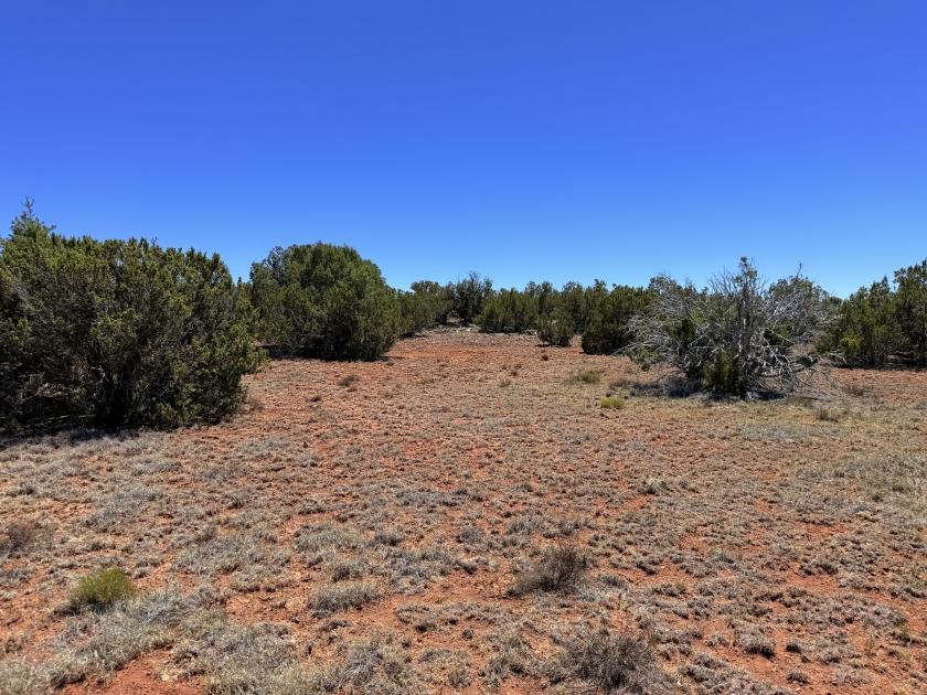1.16 Acres for Sale in Concho, Arizona