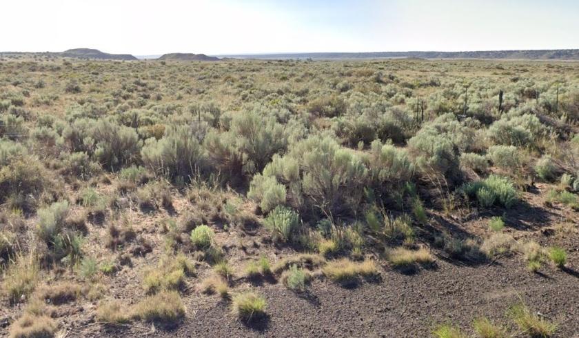 1.62 Acres for Sale in Chambers, Arizona