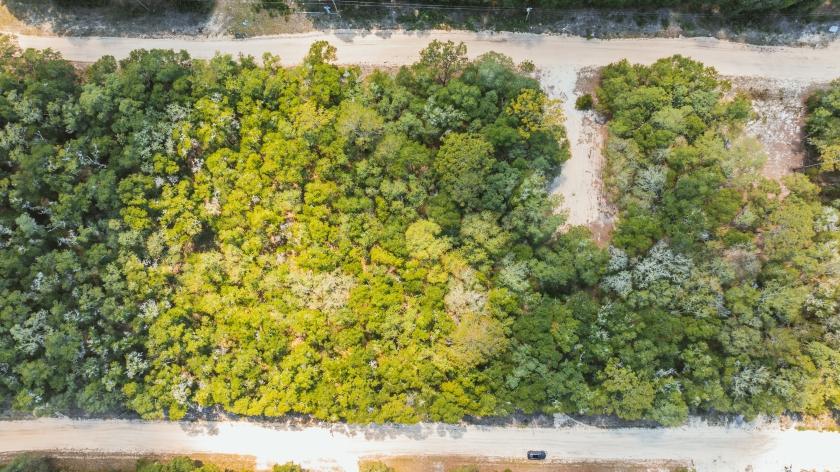 0.22 Acres for Sale in Interlachen, Florida