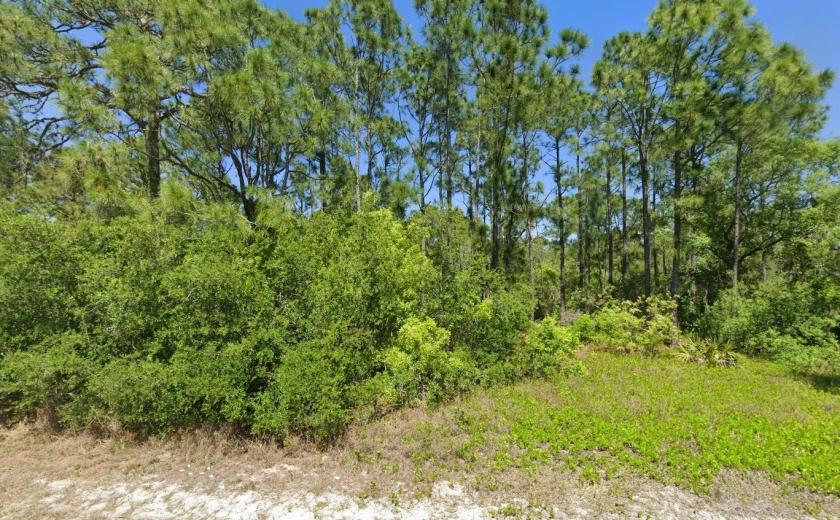 0.23 Acres for Sale in Lake Placid, Florida