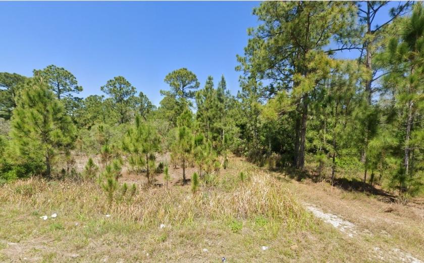 0.20 Acres for Sale in Lake Placid, Florida