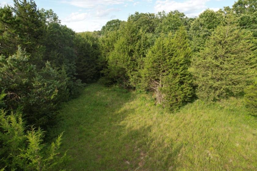 22.2 Acres for Sale in Sullivan, Missouri