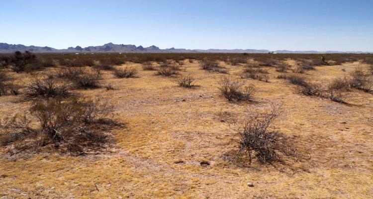 1.11 Acres for Sale in Golden Valley, Arizona