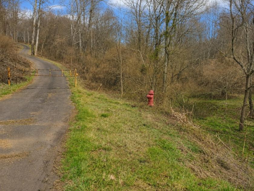 9.24 Acres for Sale in Jonesville, Virginia