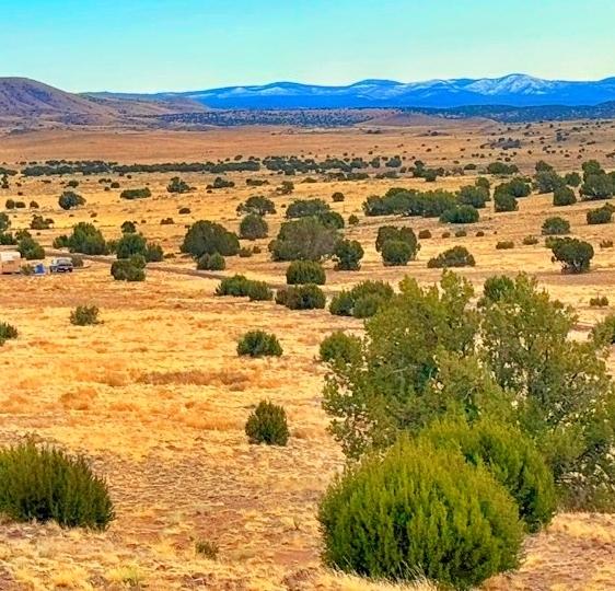 1.04 Acres for Sale in Concho, Arizona