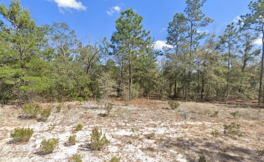 0.2 Acres for Sale in Interlachen, Florida