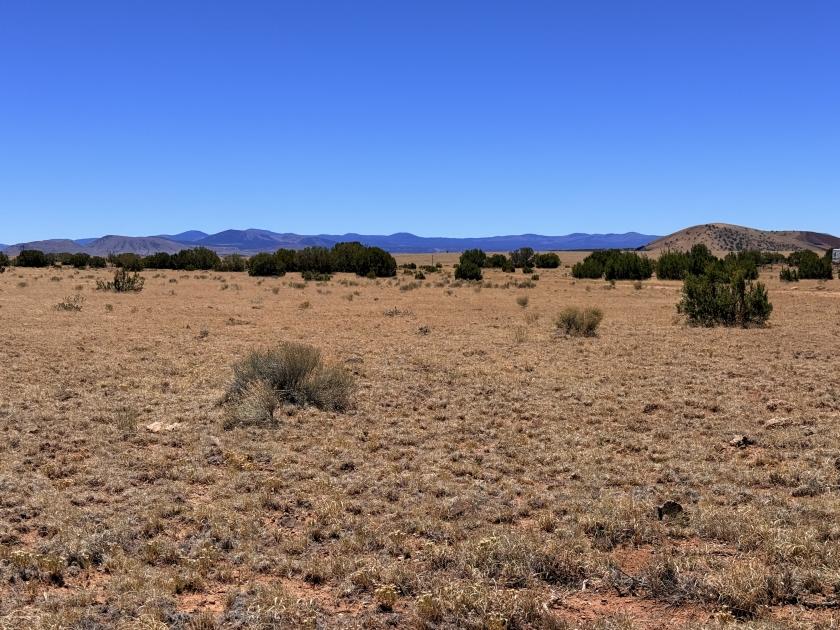 1.04 Acres for Sale in Concho, Arizona