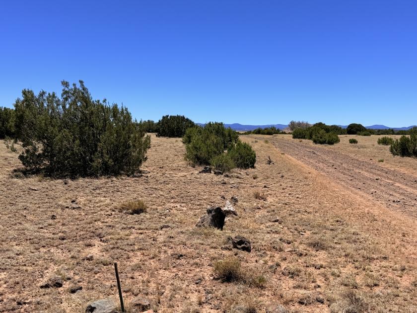 1.04 Acres for Sale in Concho, Arizona