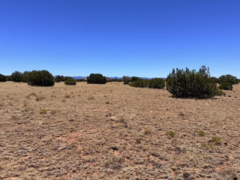 3.19 Acres for Sale in Concho, Arizona