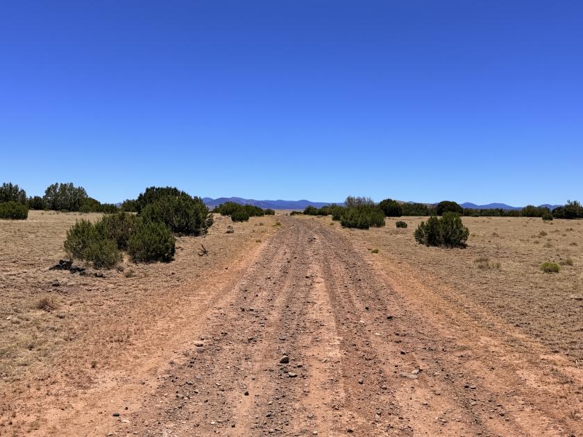 1.11 Acres for Sale in Concho, Arizona