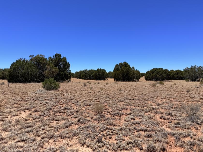 1.04 Acres for Sale in Concho, Arizona