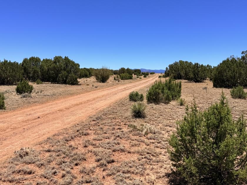 3.19 Acres for Sale in Concho, Arizona