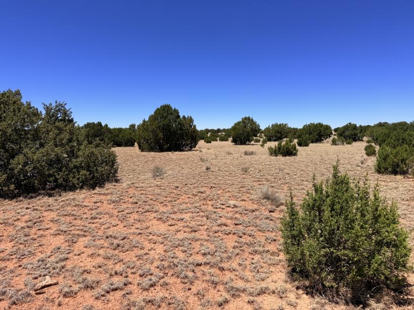 1.11 Acres for Sale in Concho, Arizona