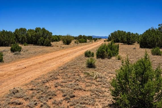 Concho, AZ Land for Sale: 3.19 Acres with Owner Financing on County Rd 5072