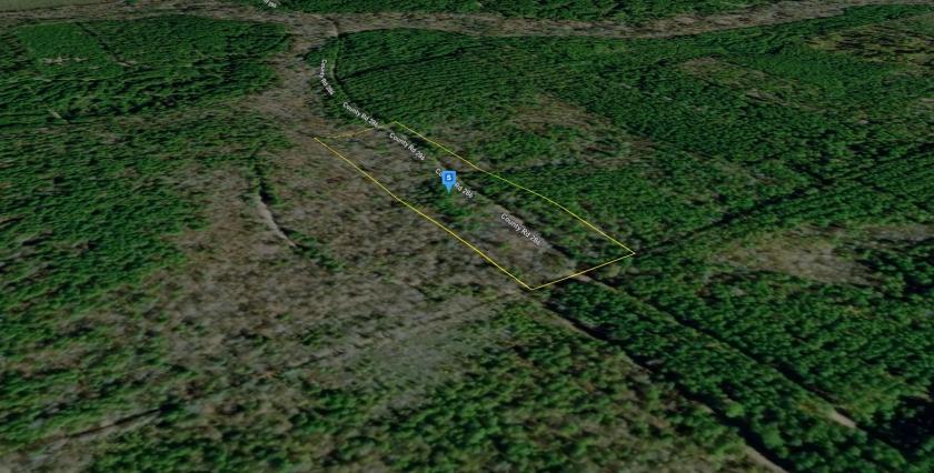 10.00 Acres for Sale in Bradley, Arkansas