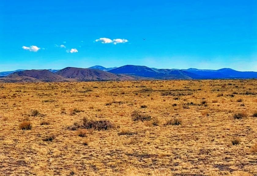 1.03 Acres for Sale in Concho, Arizona