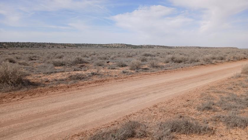 1 Acres for Sale in Sanders, Arizona