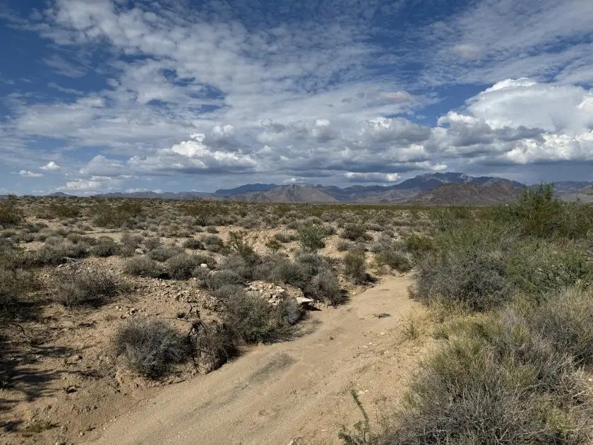 2.35-Acre Residential Land for Sale in Drake, AZ - $138/mo Owner Financing