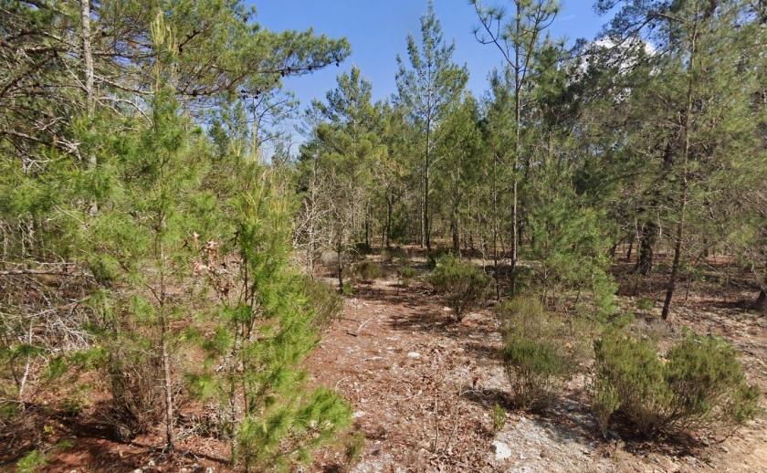 0.20 Acres for Sale in Interlachen FL, Florida