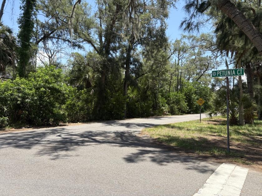 0.12 Acres for Sale in NEW PT RICHEY, Florida