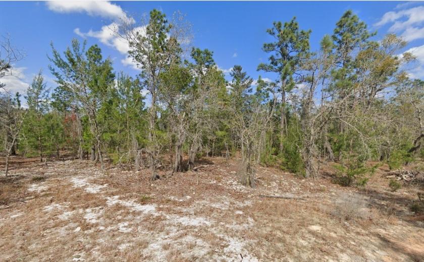 0.20 Acres for Sale in Hawthorne, Florida