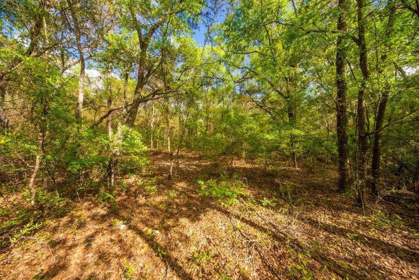 0.22 Acres for Sale in Interlachen, Florida