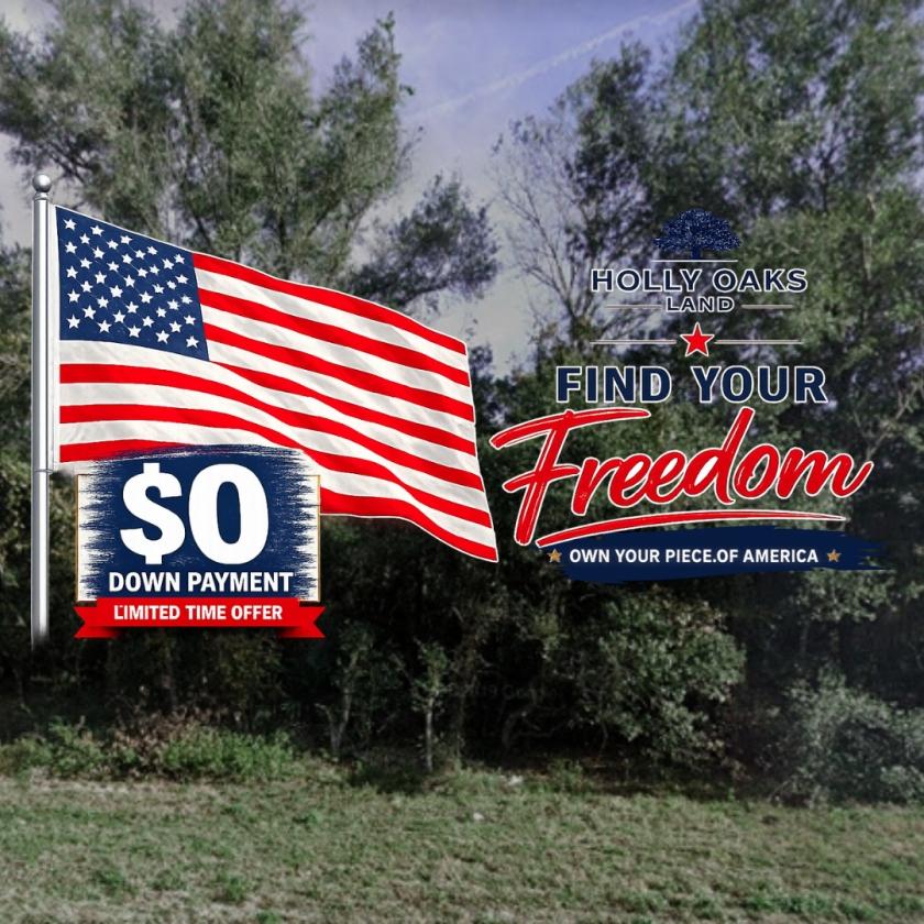 0.46 Acres for Sale in Satsuma, Florida