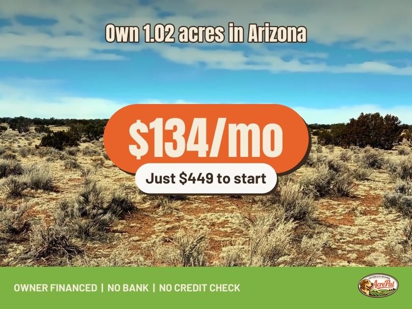1.02 Acres for Sale in Sanders, Arizona