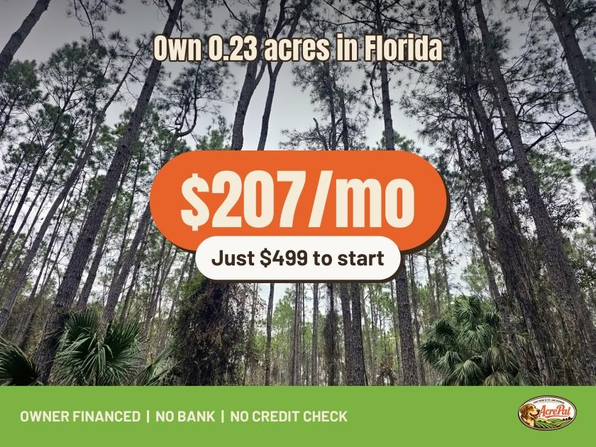 0.23 Acres for Sale in Georgetown, Florida