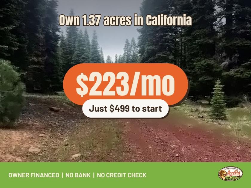 1.37 Acres for Sale in Alturas, Californa