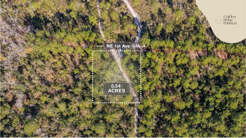0.54 Acres for Sale in Palatka, Florida