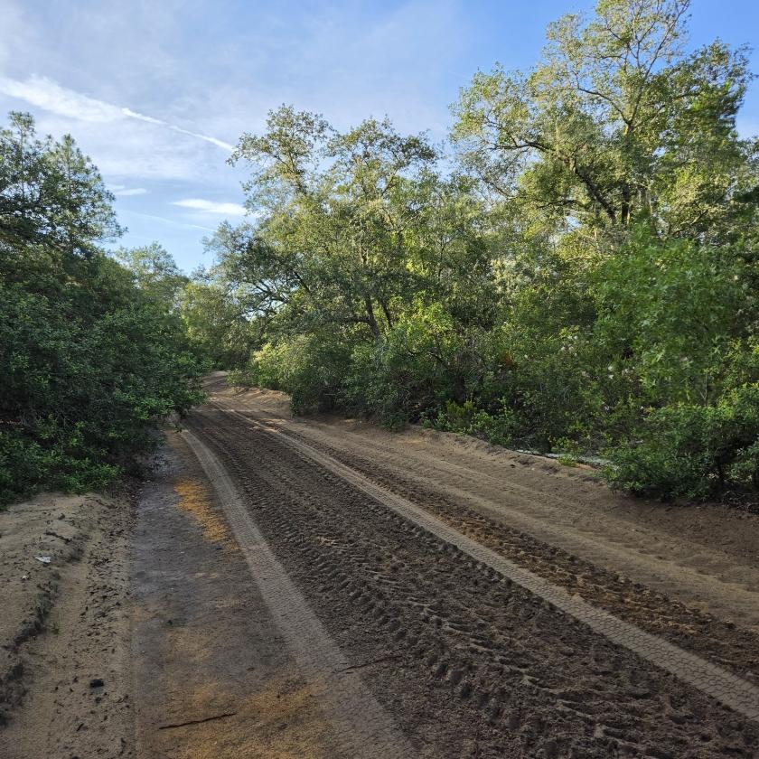 0.19 Acres for Sale in Interlachen, Florida