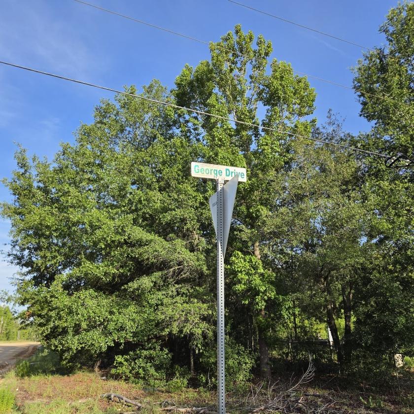 0.23 Acres for Sale in Interlachen, Florida