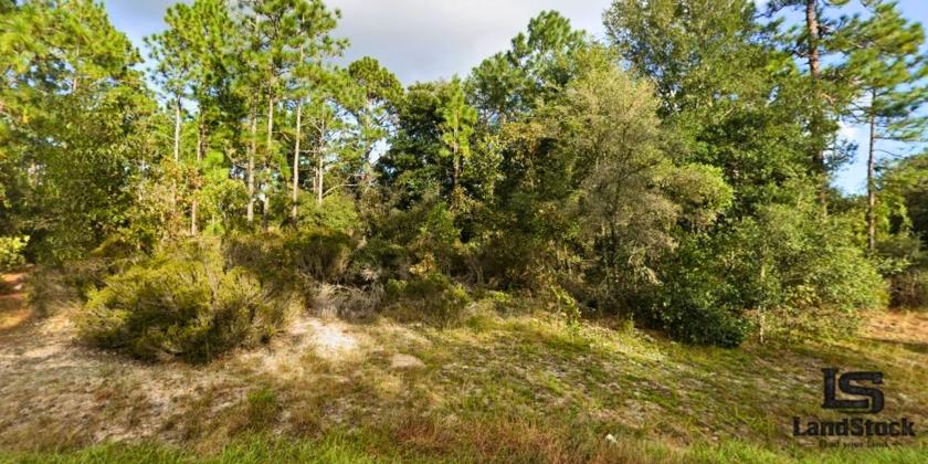 0.23 Acres for Sale in Interlachen, Florida