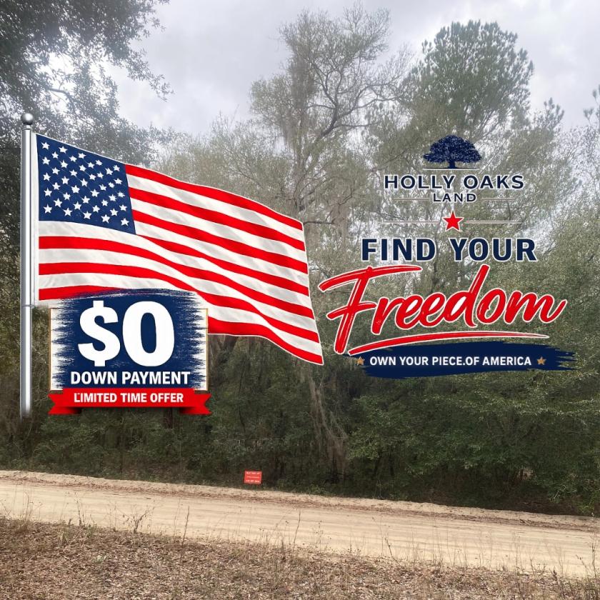 0.22 Acres for Sale in Interlachen, Florida