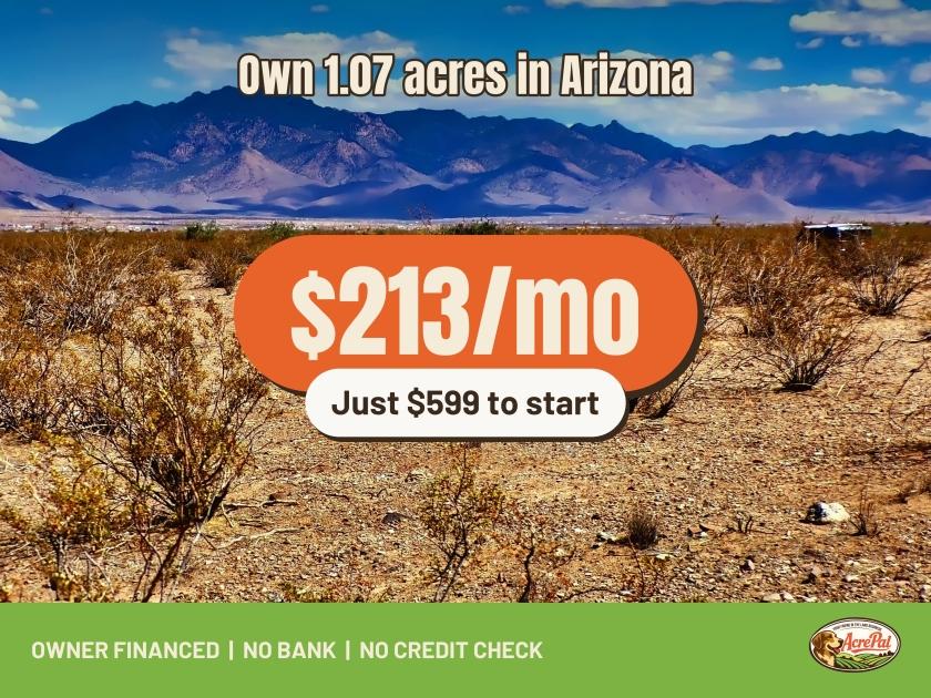 1.07-Acre Residential Land for Sale in Dolan Springs, AZ - $349 | Owner Financing