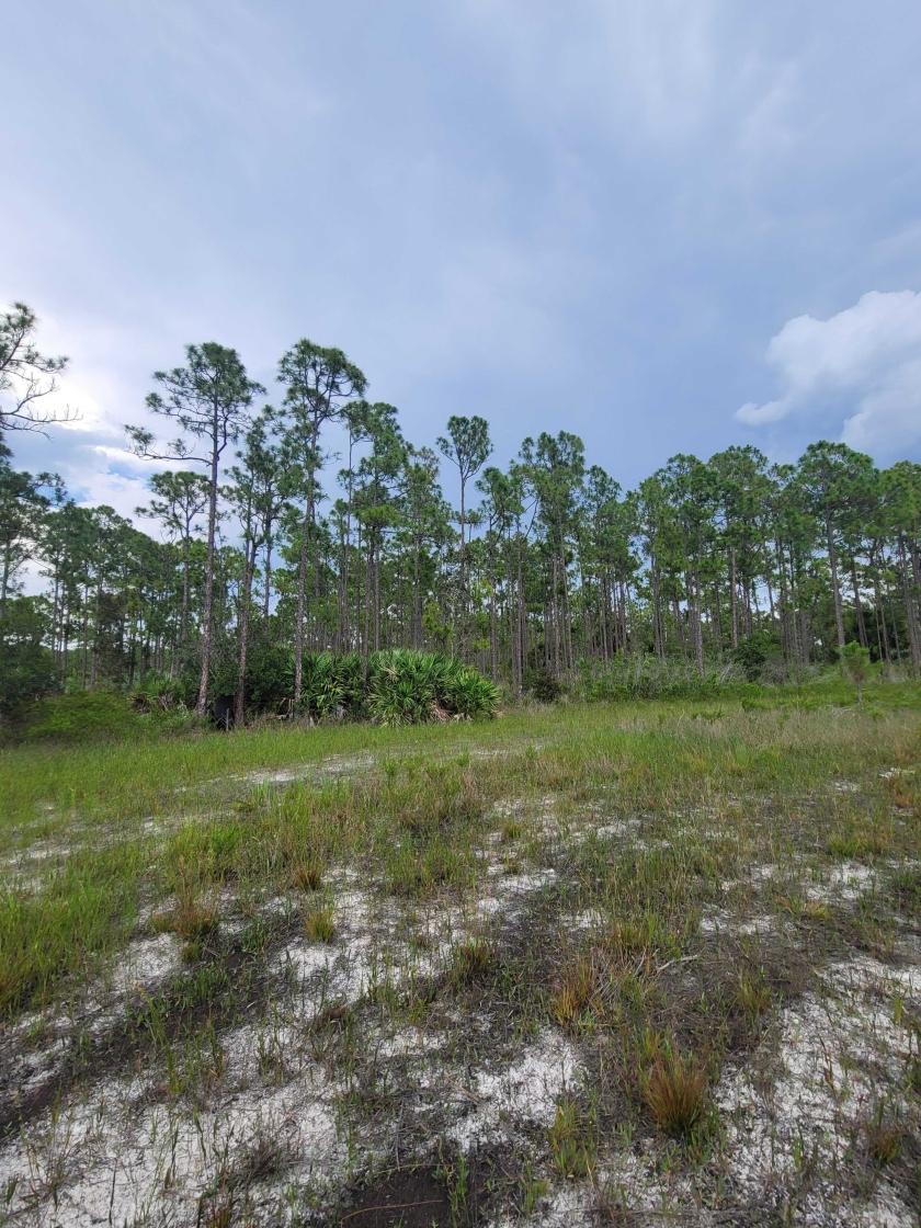 0.25 Acres for Sale in Indiantown, Florida