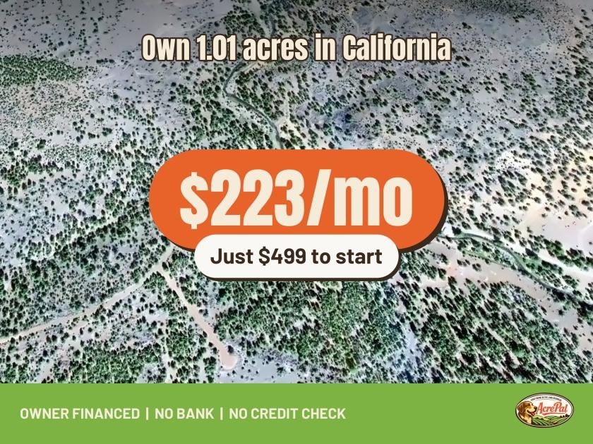 1.01 Acres for Sale in Alturas, California