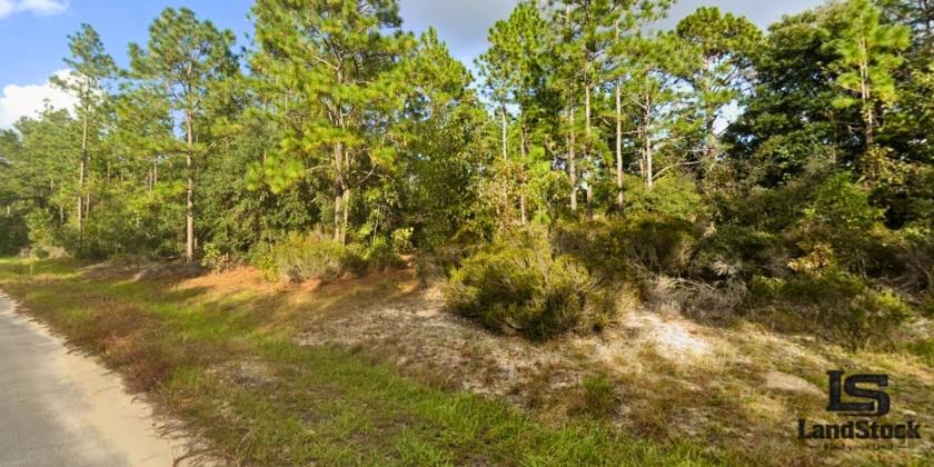 0.23 Acres for Sale in Interlachen, Florida