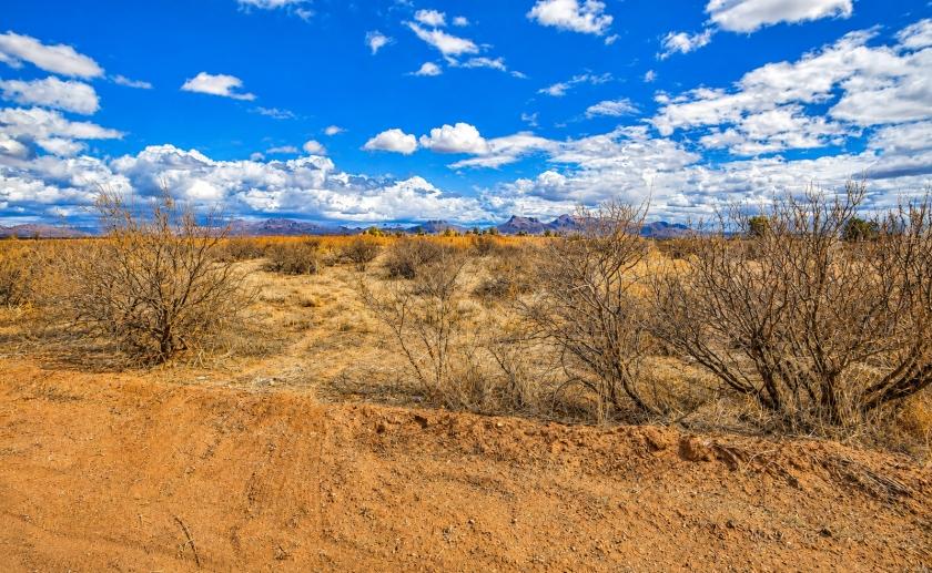 0.15 Acres for Sale in Douglas, Arizona
