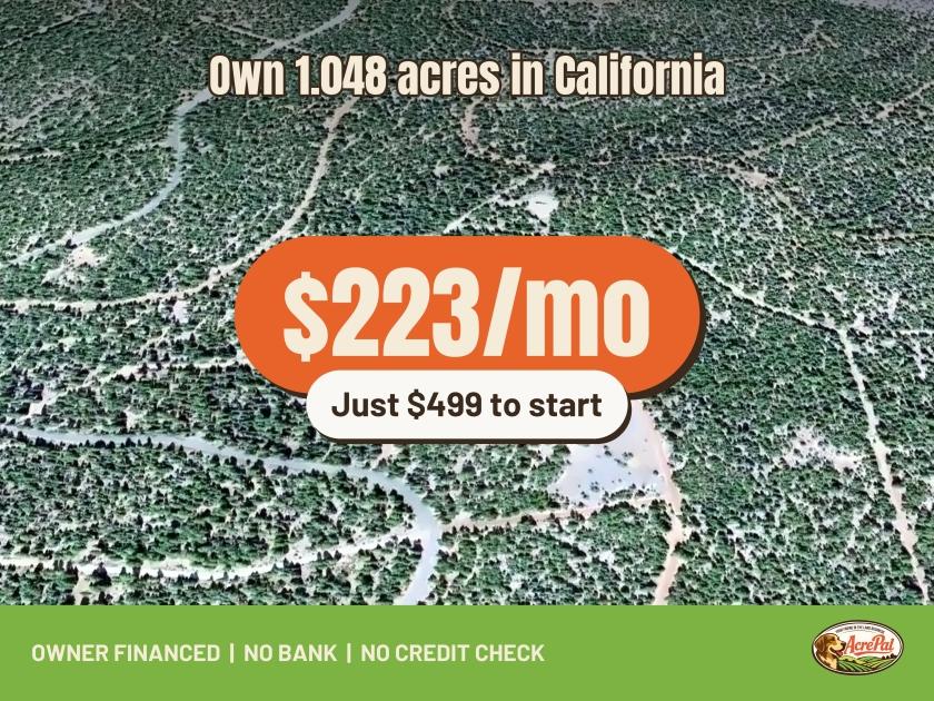 1.048 Acres for Sale in Alturas, California